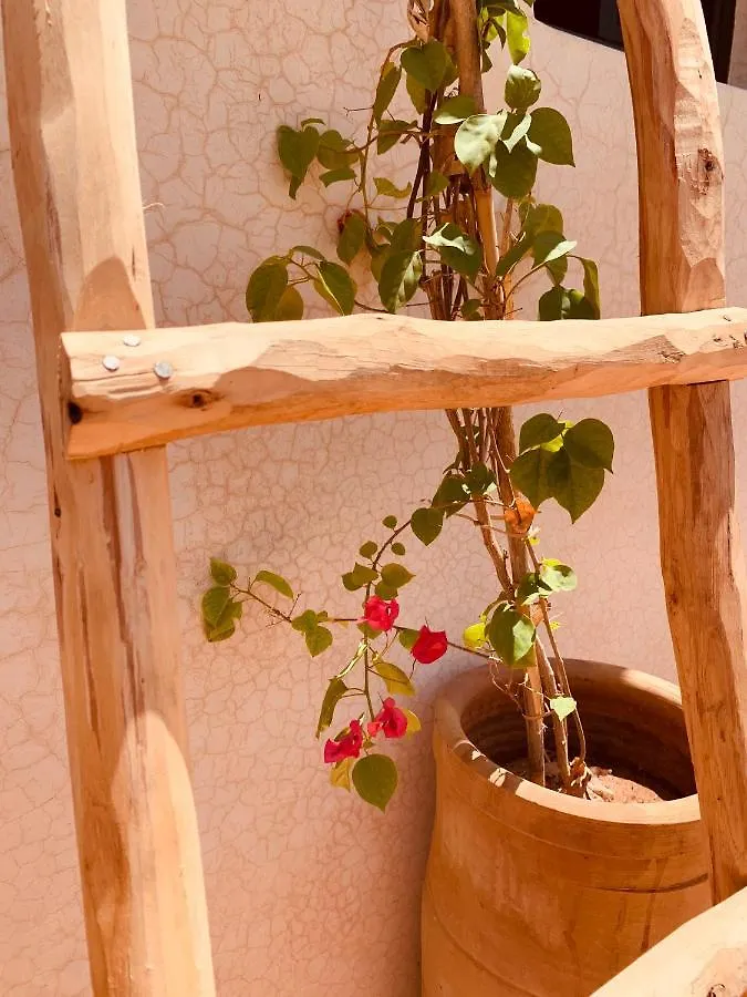 ***  Riad Kadi Hotel Marrakesh Marokko